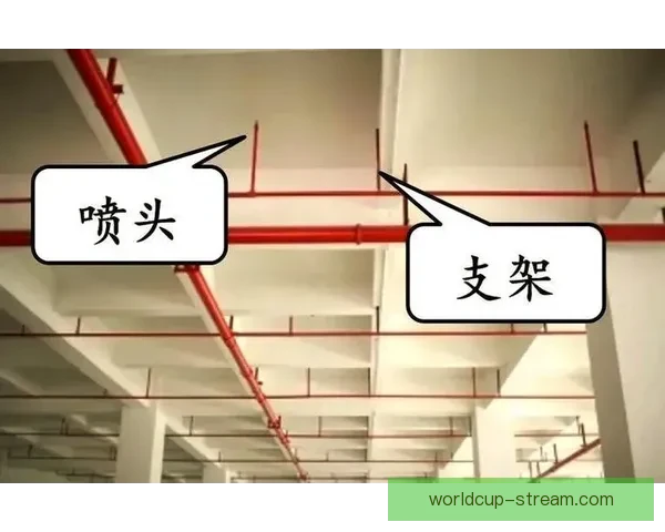 世界杯赛事深度解析与精准竞猜预测策略全面指南