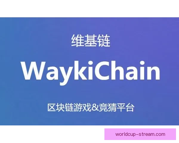 世界杯竞猜投注规则详解与投注技巧全攻略指南 世界杯竞猜投注规则详解与投注技巧全攻略指南